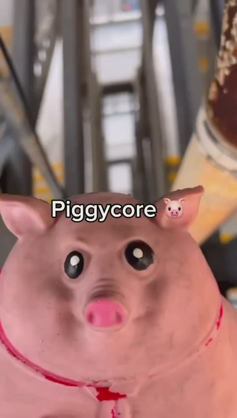 Pig Squishy Toy - Stretchable Stress Relief Toy